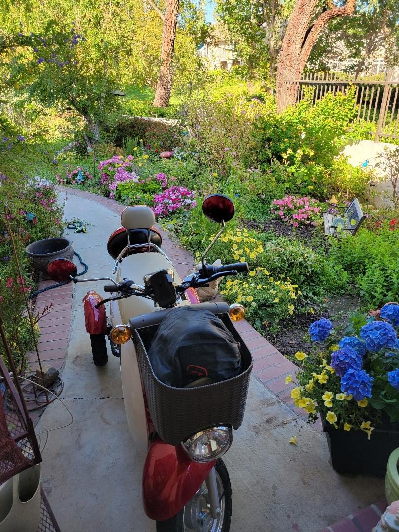 【Bicycle】EWheels EW-11 Sports Mobility Recreational Euro Type Scooter 3 Wheels