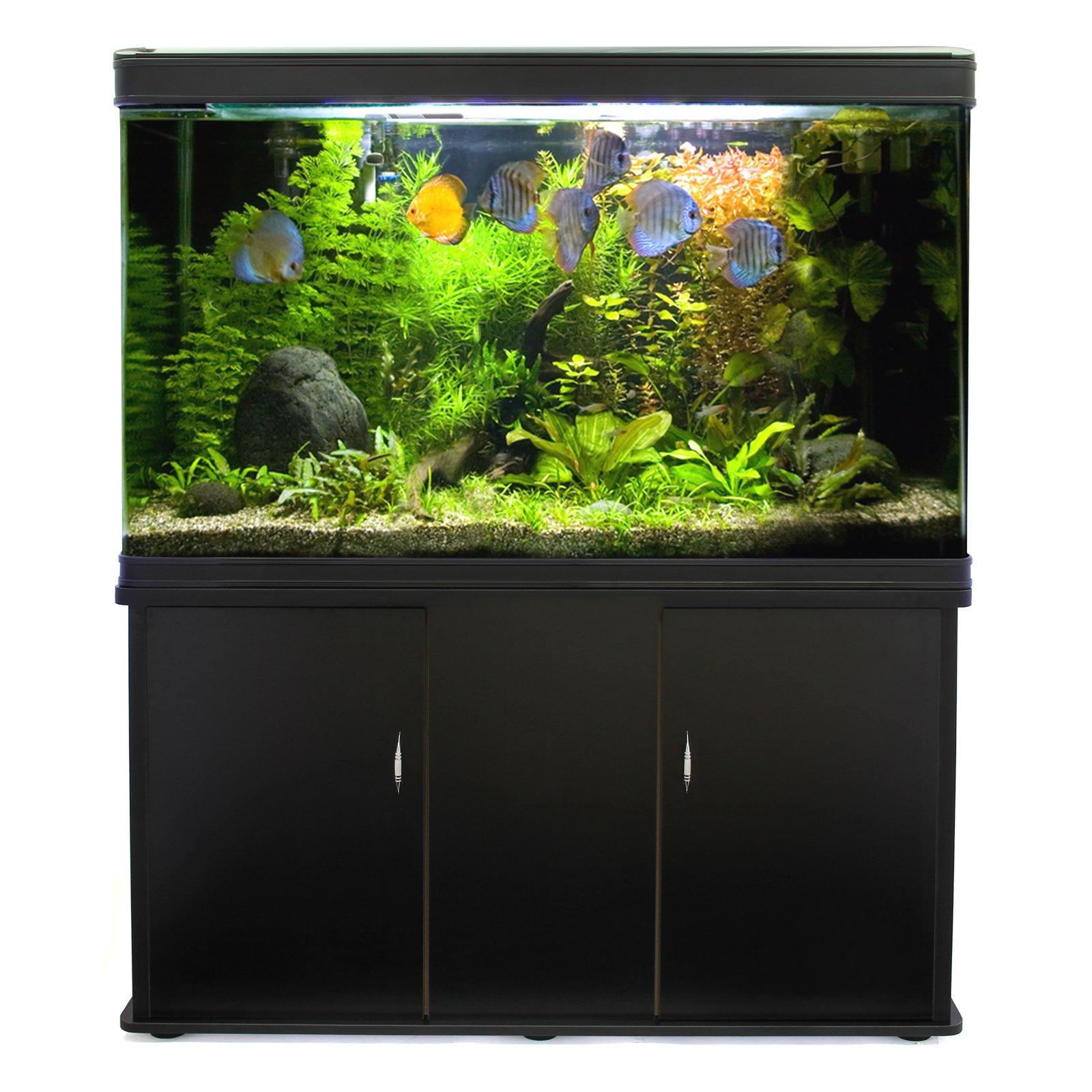 【Pet】【BS】Large Fish Tank Aquarium 4ft 300L Marine Tropical Salt Water Freshwater & Complete Starter Kit